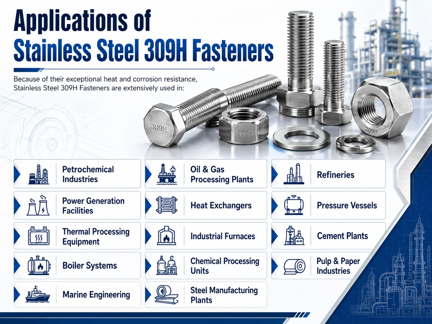 Stainless Steel 309H Fasteners